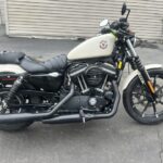 2022 XL883N Sportster Iron White dealer CT