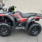 2024 Honda Rubicon 520EFI Deluxe EPS IRS dealer CT