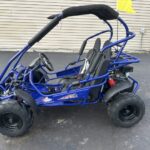 Mid XRX/R 2 Passenger Kids Kart Electric Start & Reverse dealer CT